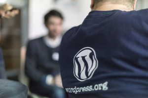 Wordpress Meeting en Viena (2013). Crédito: Flickr